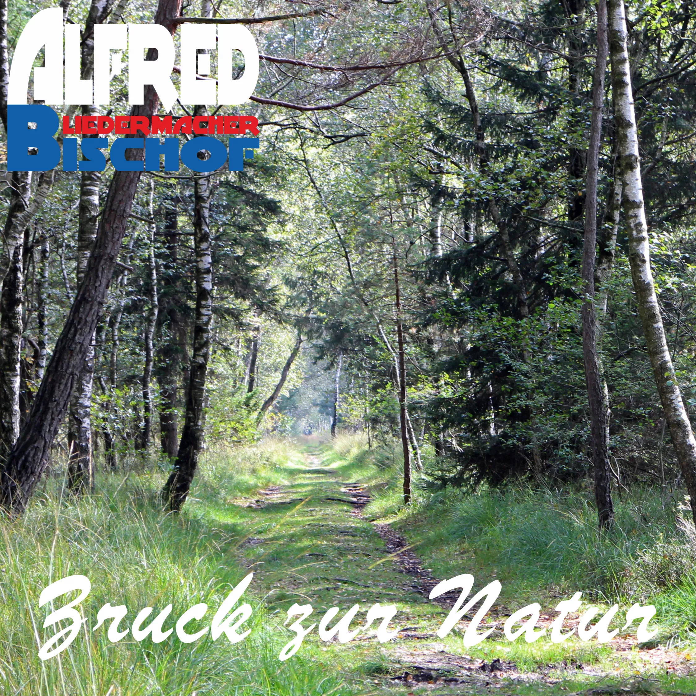 „Zruck zur Natur“ – ein Mensch steht zwischen Beton und Wald, mit Blick in die Natur, als Symbol für Sehnsucht, Widerspruch und Neubeginn.